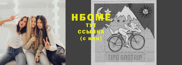 прущий лед Алзамай