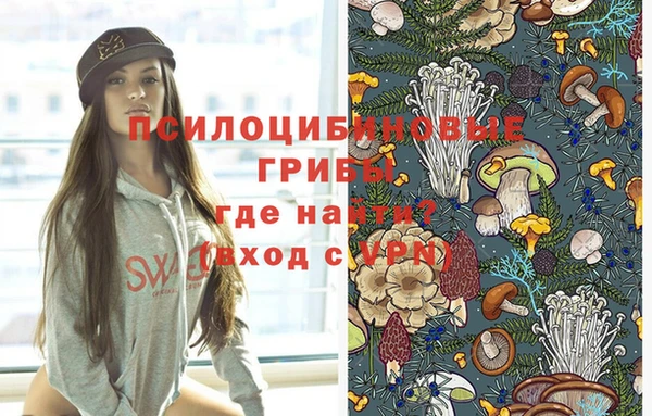 герыч Алексин