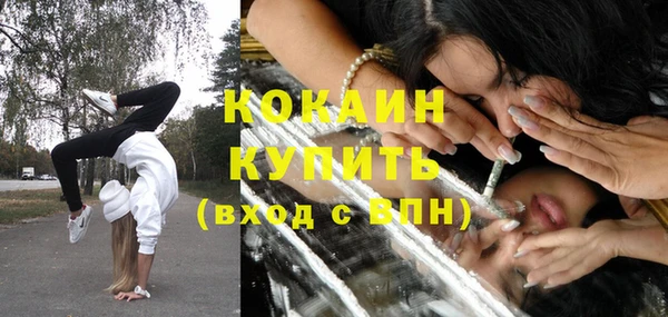 прущий лед Алзамай