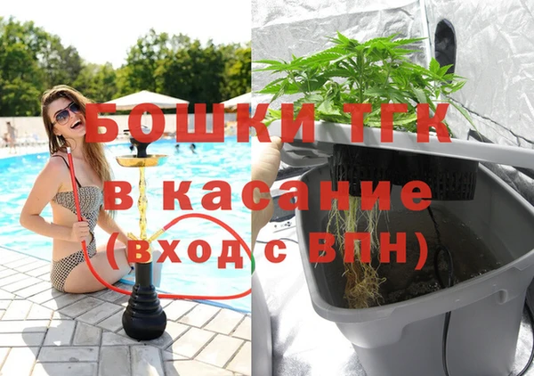 прущий лед Алзамай