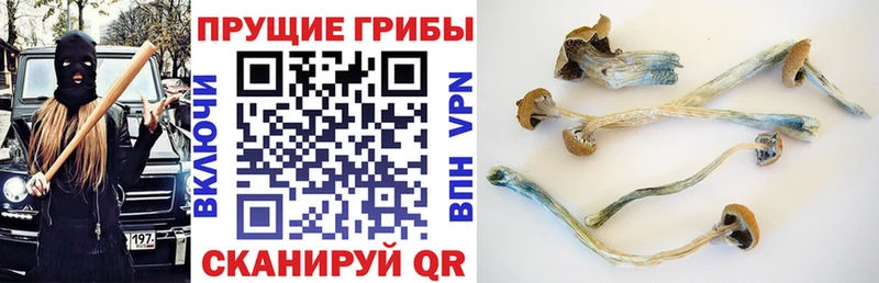 наркотики  Клин  blacksprut как войти  Галлюциногенные грибы Magic Shrooms 